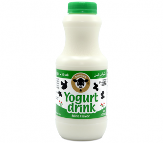 Karoun Yogurt drink mint